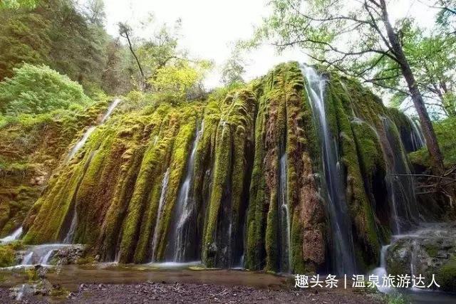 社保转移异地2019游戏画面